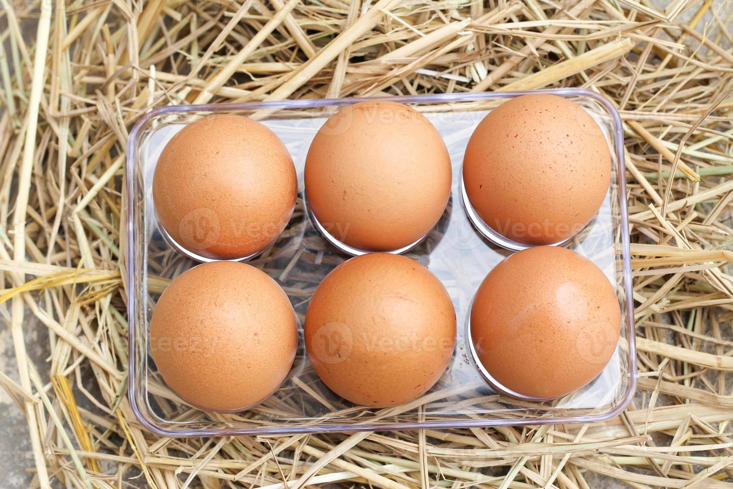 Top view Six brown eggs product protein yolk chicken easter shell tray mockup on rice straw background. photo