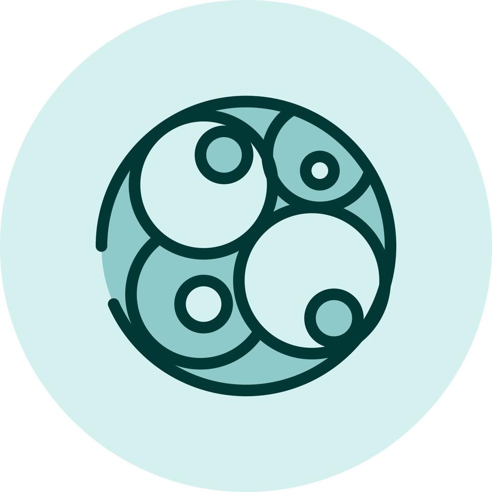 Embriology science, illustration, vector on a white background.