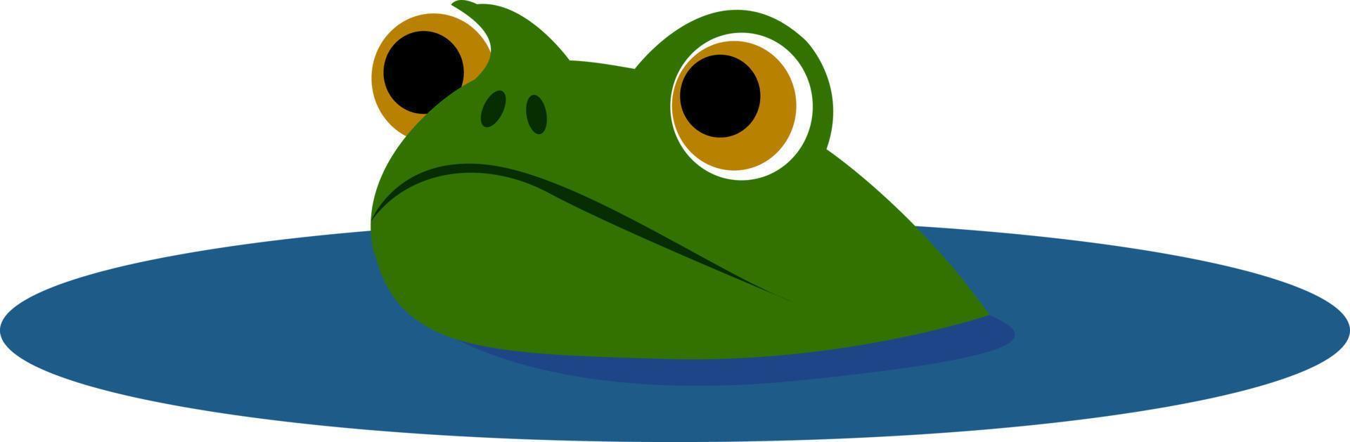 Frog in water, illustration, vector on white background.