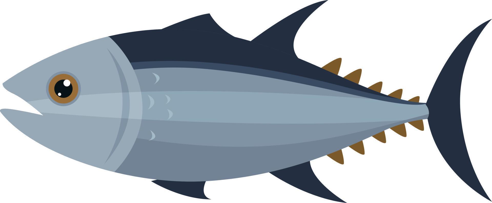 Blue tuna fish, illustration, vector on white background