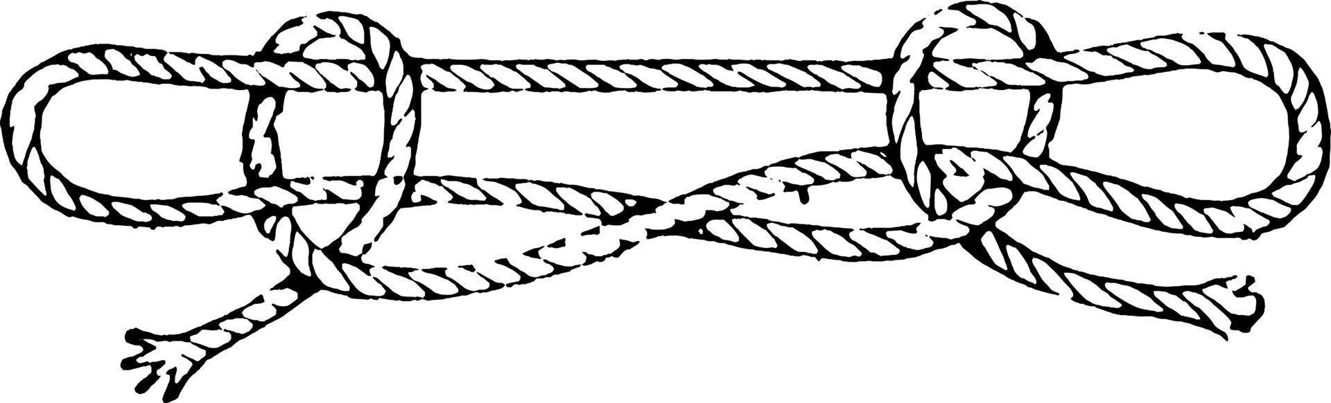 Knots or Sheepshank, vintage illustration vector