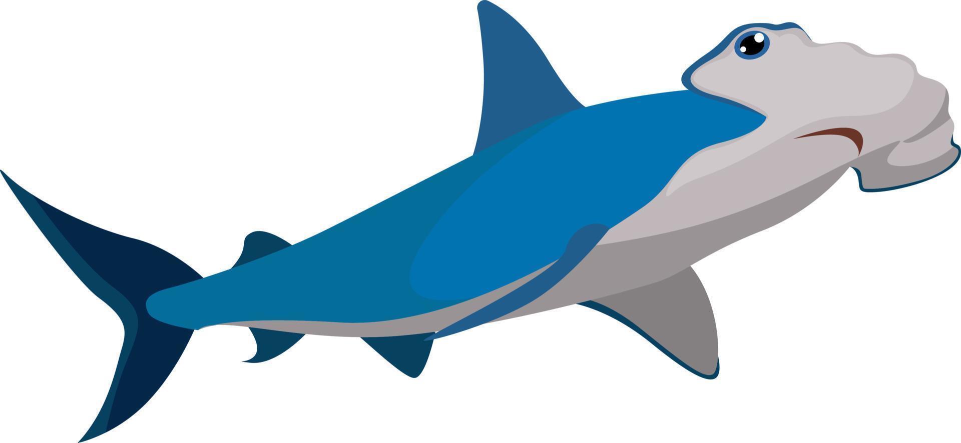 Hammer shark, illustration, vector on white background.