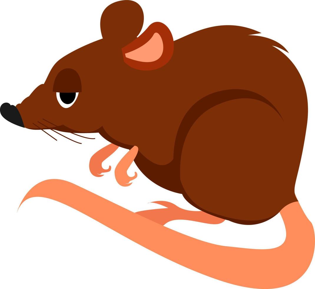 Little mouse, illustration, vector on white background.
