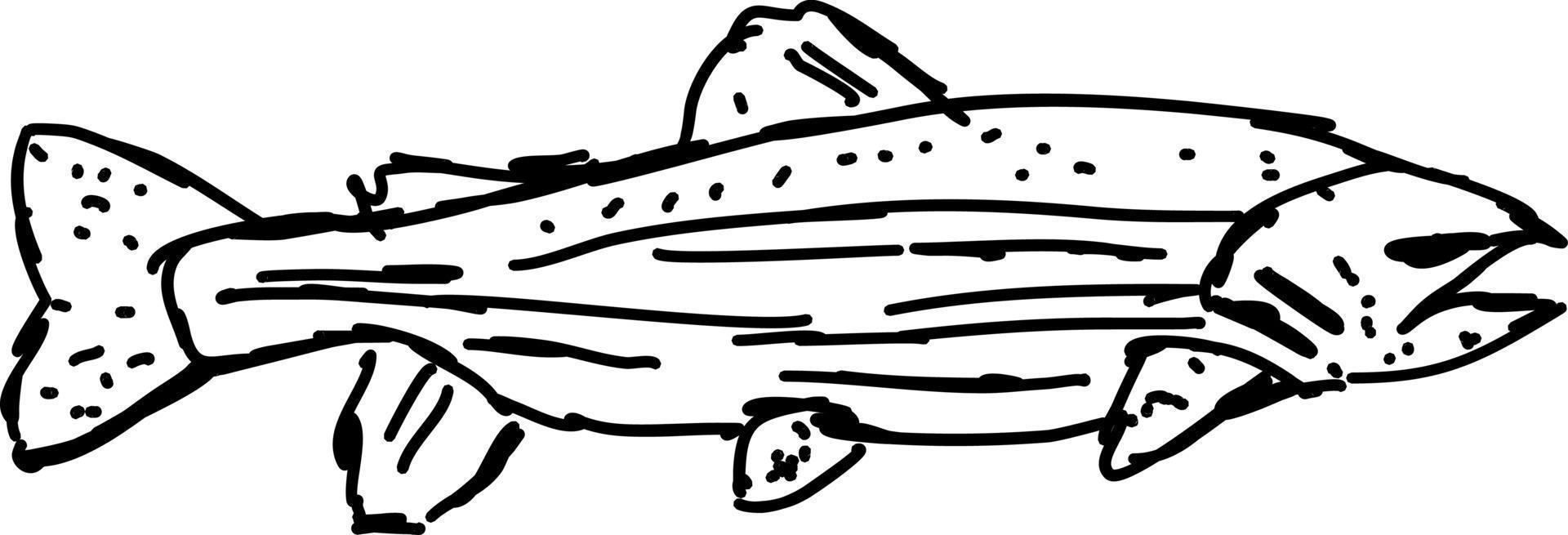 dibujo de peces, ilustración, vector sobre fondo blanco.