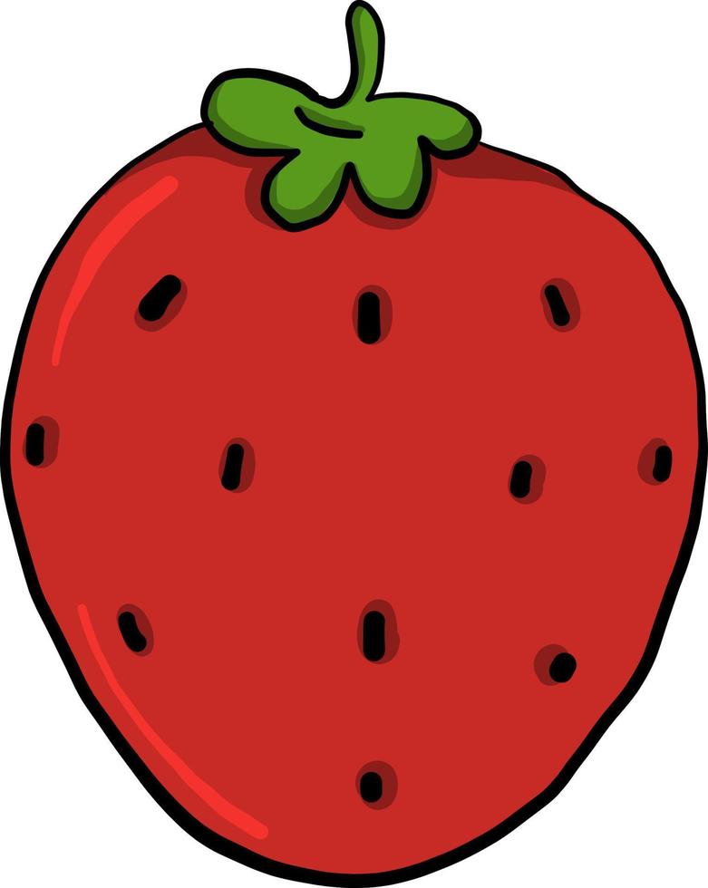 Delicious strawberry , illustration, vector on white background