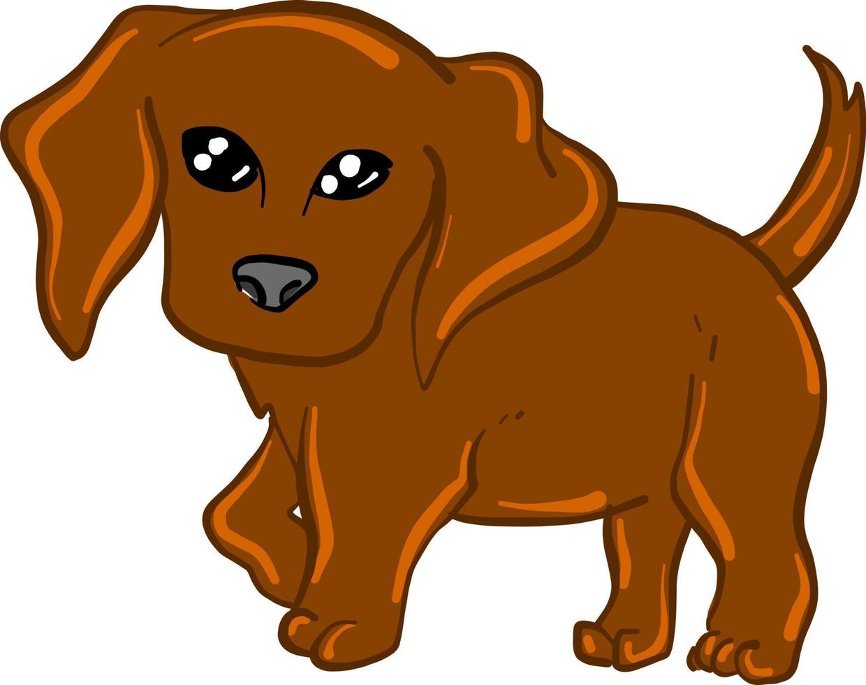 Chestnut dog, illustration, vector on white background