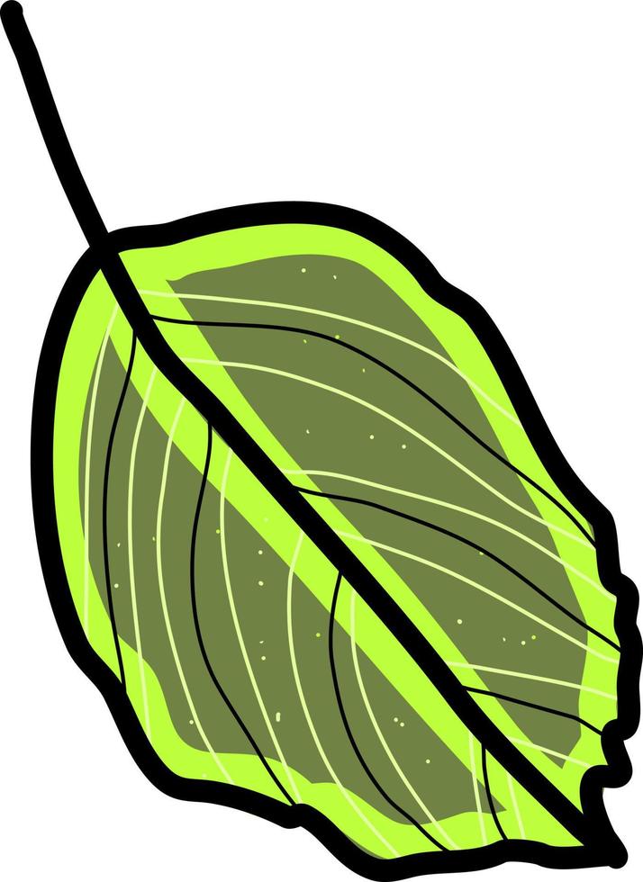 hoja verde, ilustración, vector sobre fondo blanco.