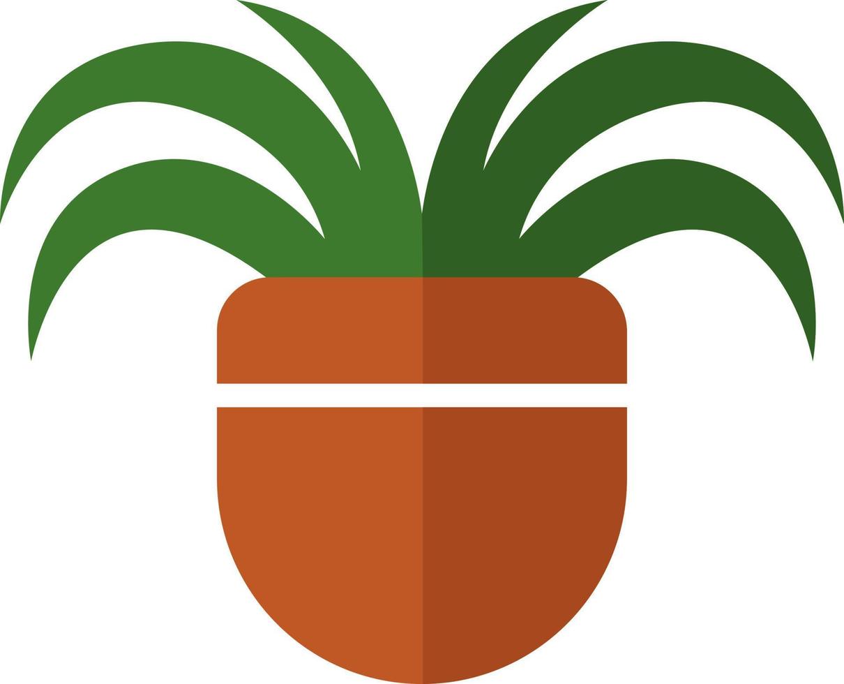 Adams needle plant in a pot, illustration, vector on white background.