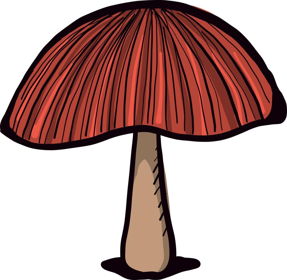 Forest mushroom, illustration, vector on white background