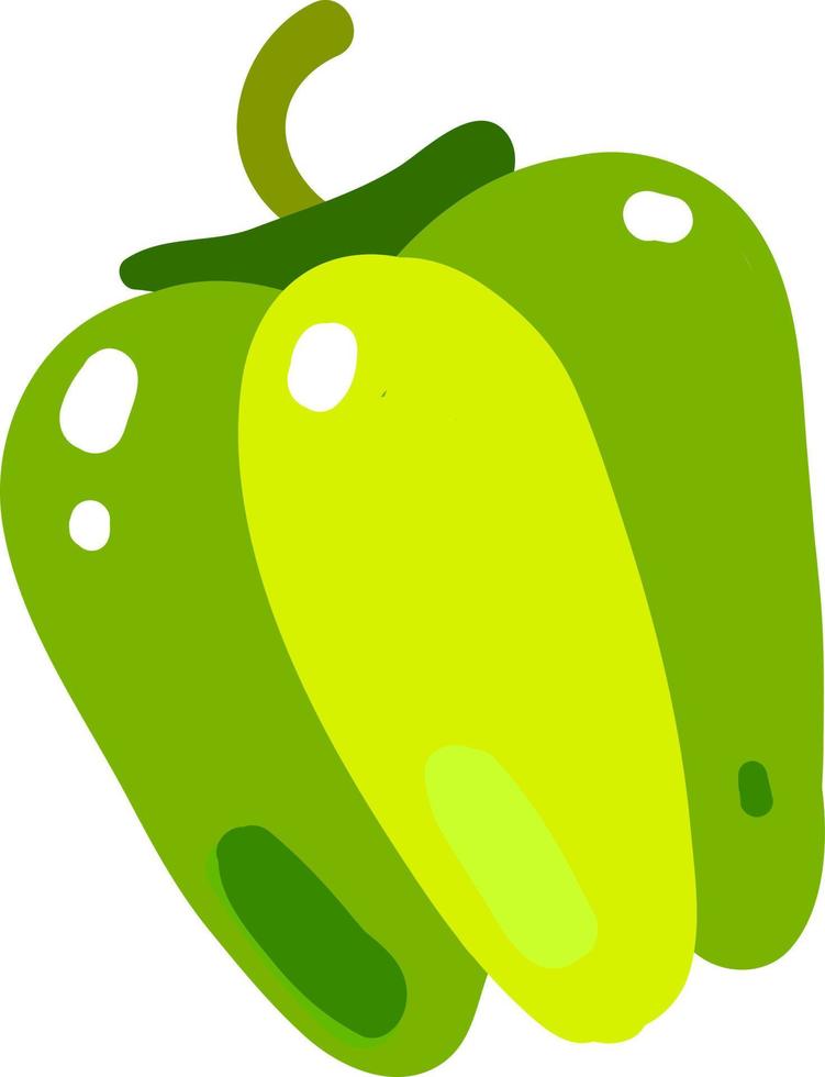 Green pepper, illustration, vector on white background.