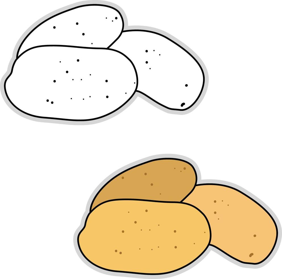 patata fresca, ilustración, vector sobre fondo blanco.