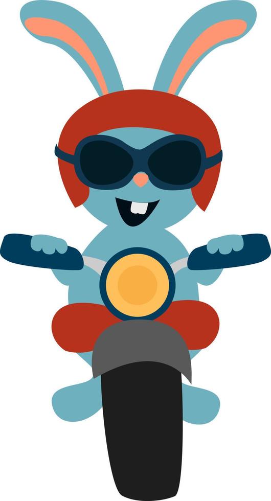 Bunny on bike, illustration, vector on white background.