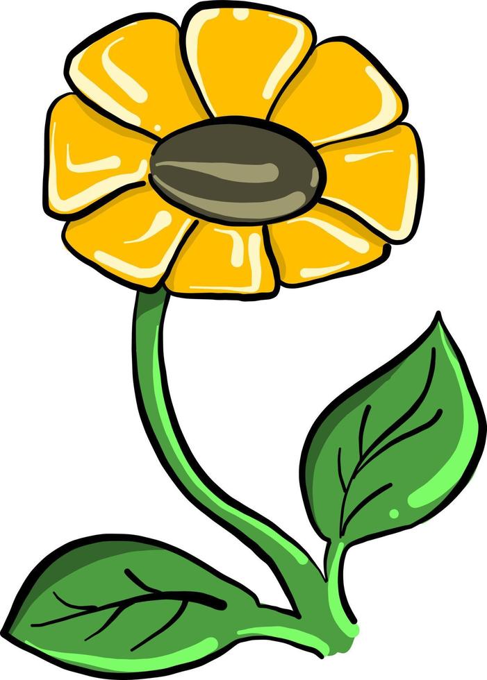 Chamomile flower, illustration, vector on white background