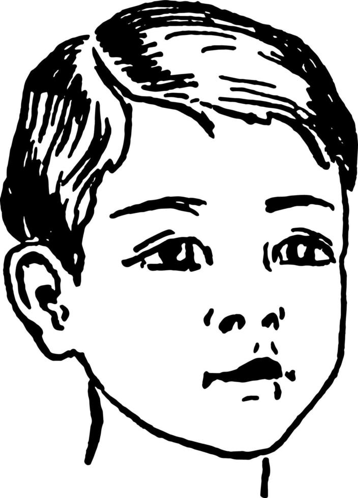 Head of a Boy, vintage engraving. vector