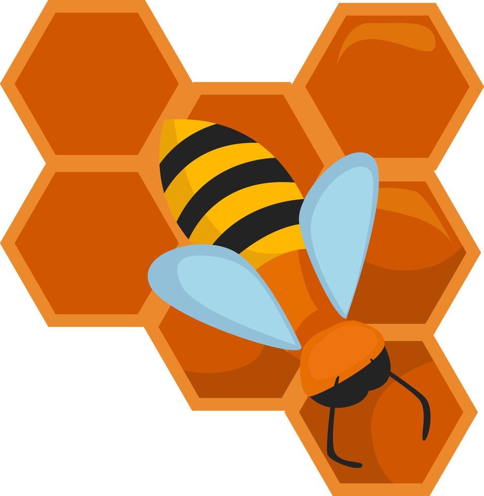 Honeycomb with bee , illustration, vector on white background