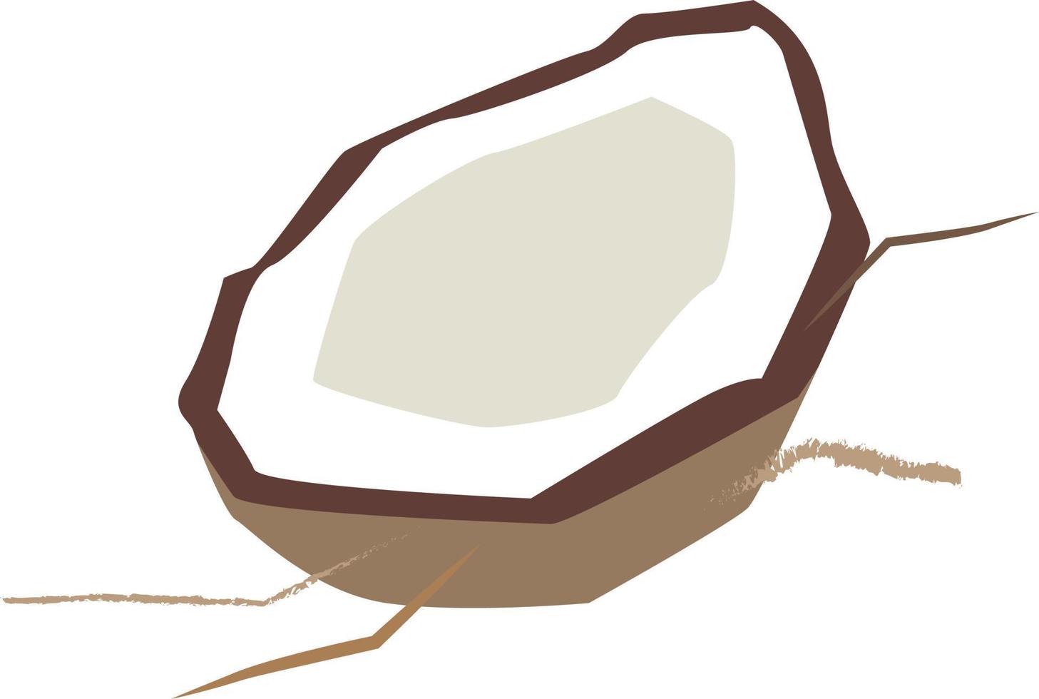 Coconut, illustration, vector on white background.