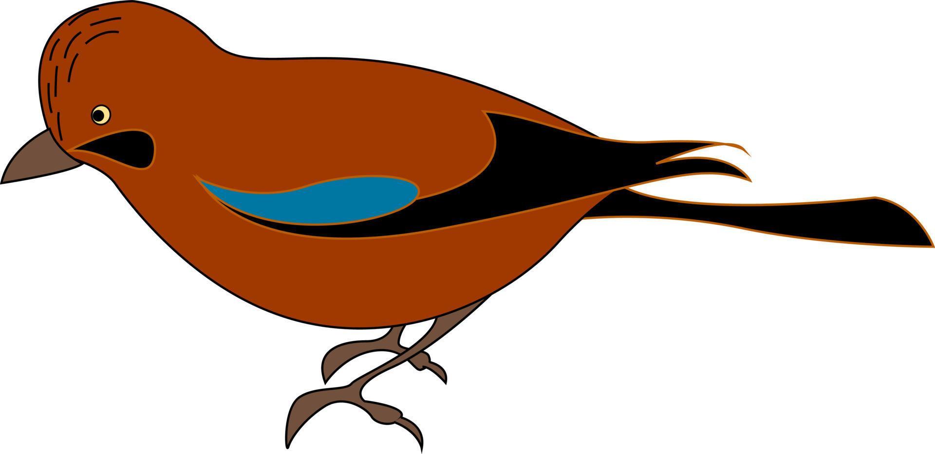 Red jay bird, illustration, vector on white background. 13684617 Vector Art at Vecteezy