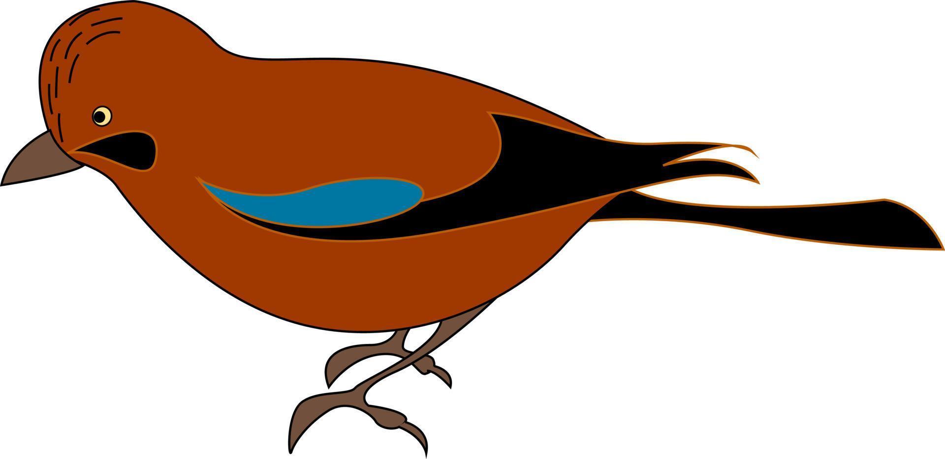 Red jay bird, illustration, vector on white background. 13684617 Vector Art at Vecteezy