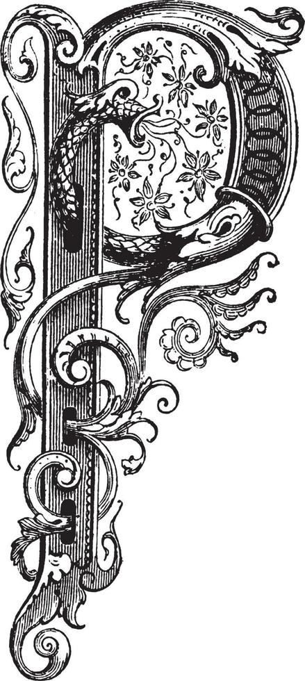 P, Ornate initial, vintage illustration vector