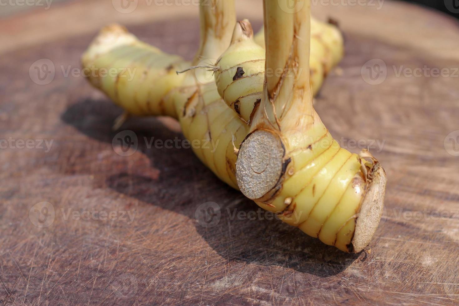 Galanga on wooden background photo