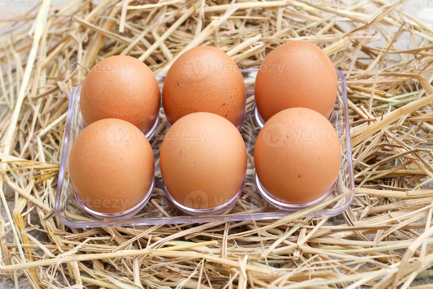 eggs product protein yolk chicken easter shell tray mockup on rice straw background. photo