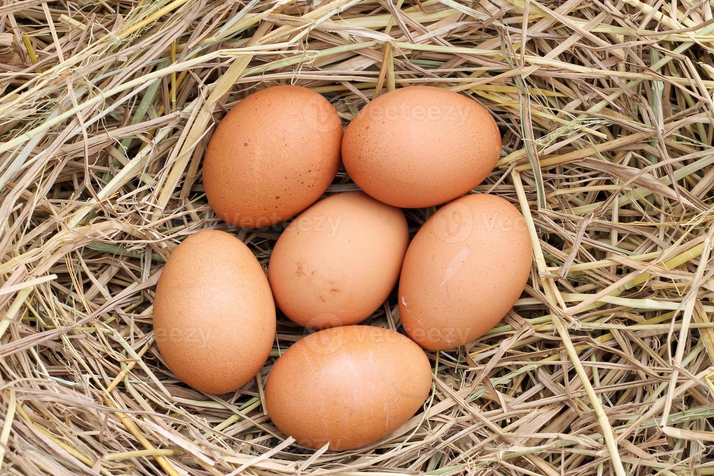 many brown eggs on rice straw.The benefits of egg are rich in vitamins and minerals of various types, such as B vitamins, vitamin C, vitamin D, vitamin E, vitamin K. photo