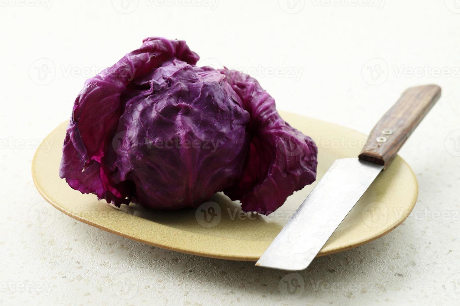 Fresh Purple Red Cabbage Ready to Slice photo