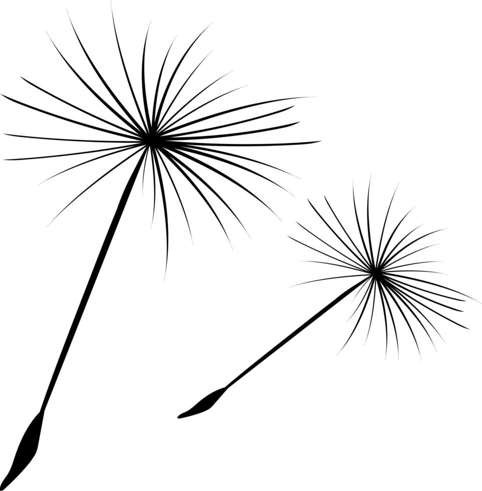 Silhouette of a dandelion vector