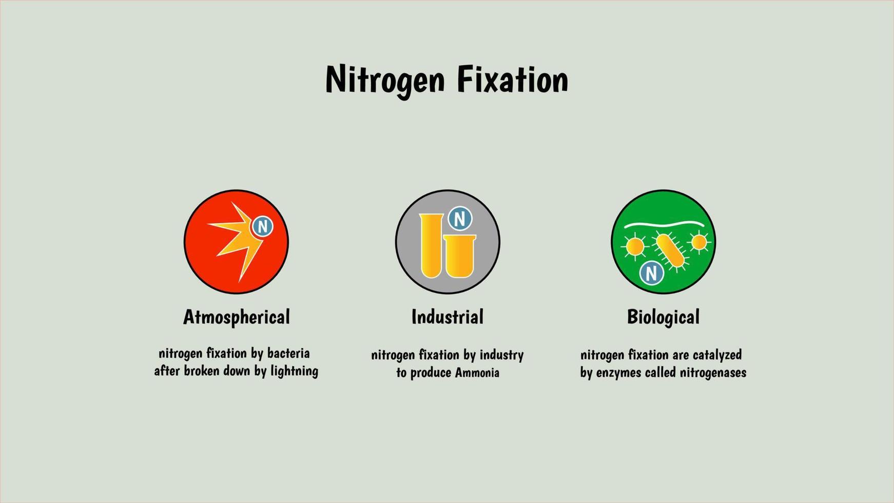 Nitrogen fixation methode by industrial, chemical, biological. 4K size for video or presentation vector