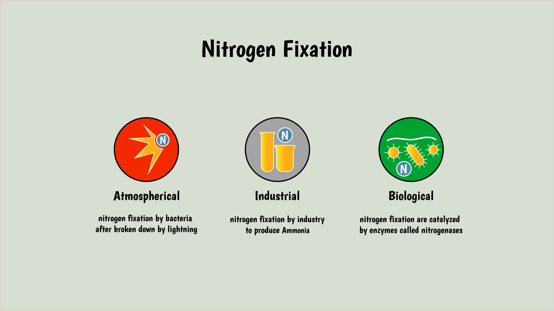 Nitrogen fixation methode by industrial, chemical, biological. 4K size