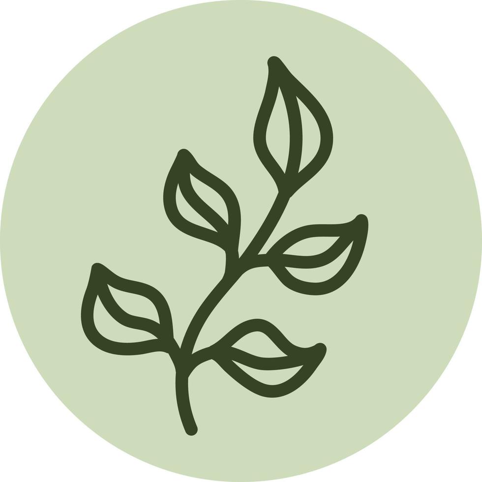 Green leaves on a branch, illustration, vector on a white background