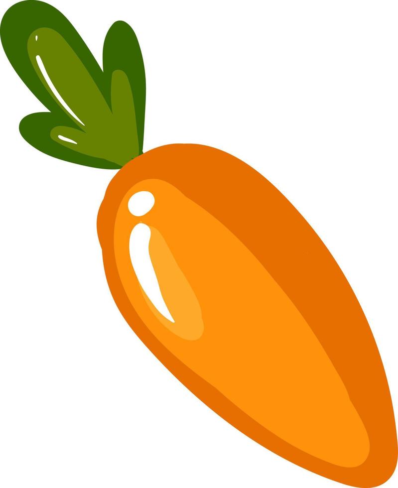zanahoria, ilustración, vector sobre fondo blanco.