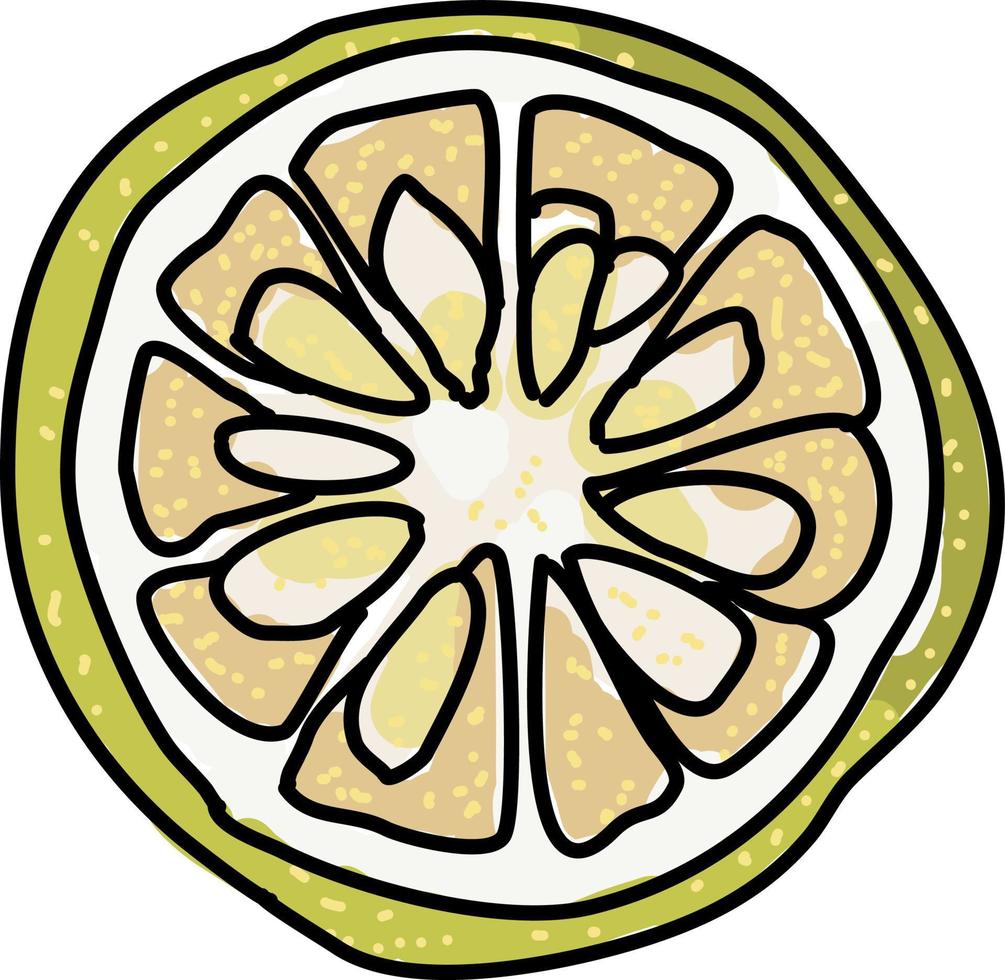 Half lemon, illustration, vector on white background.