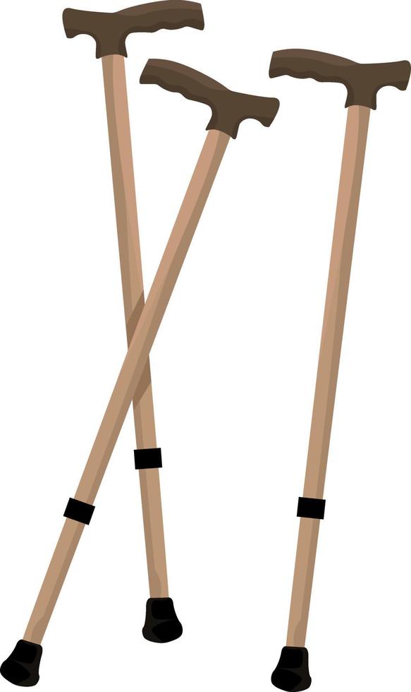 Walking sticks, illustration, vector on white background