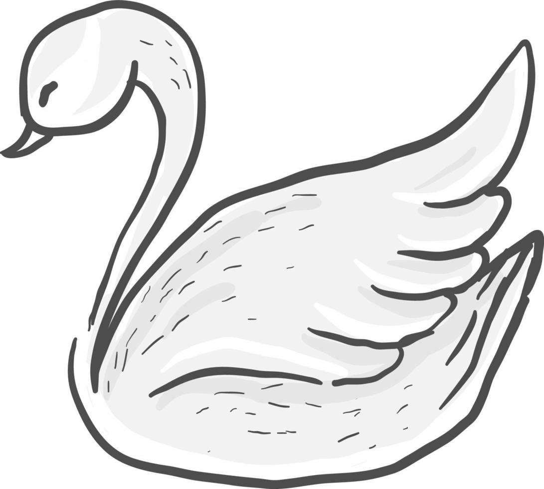 hermoso cisne, ilustración, vector sobre fondo blanco.