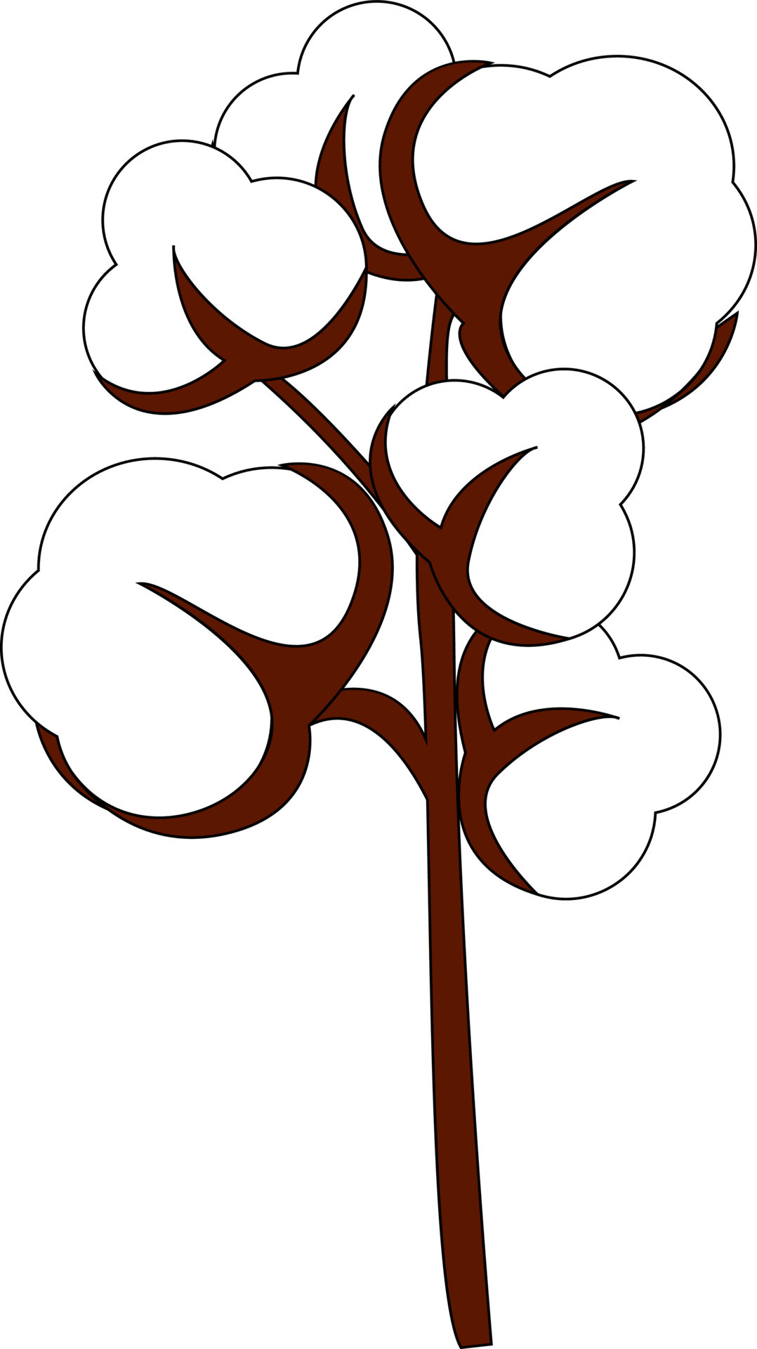 Cotton drawing, illustration, vector on white background. 13688049