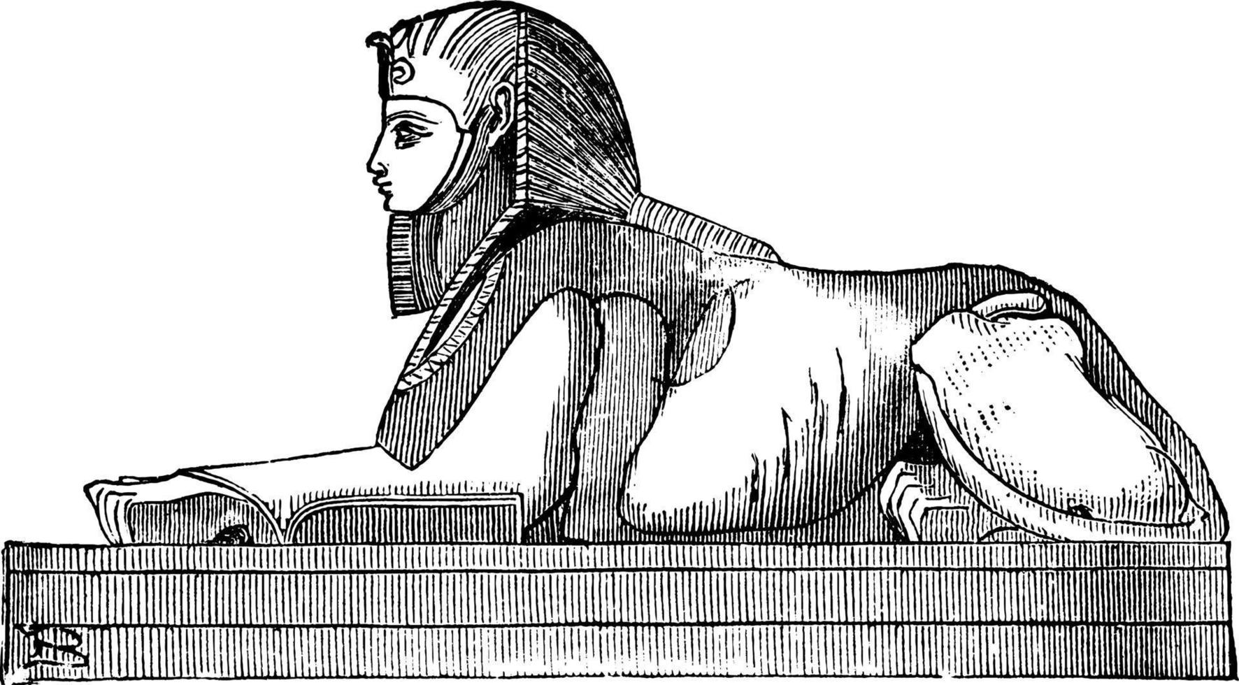 Sphinx, Greek word signifying, vintage engraving. 13688069 Vector Art