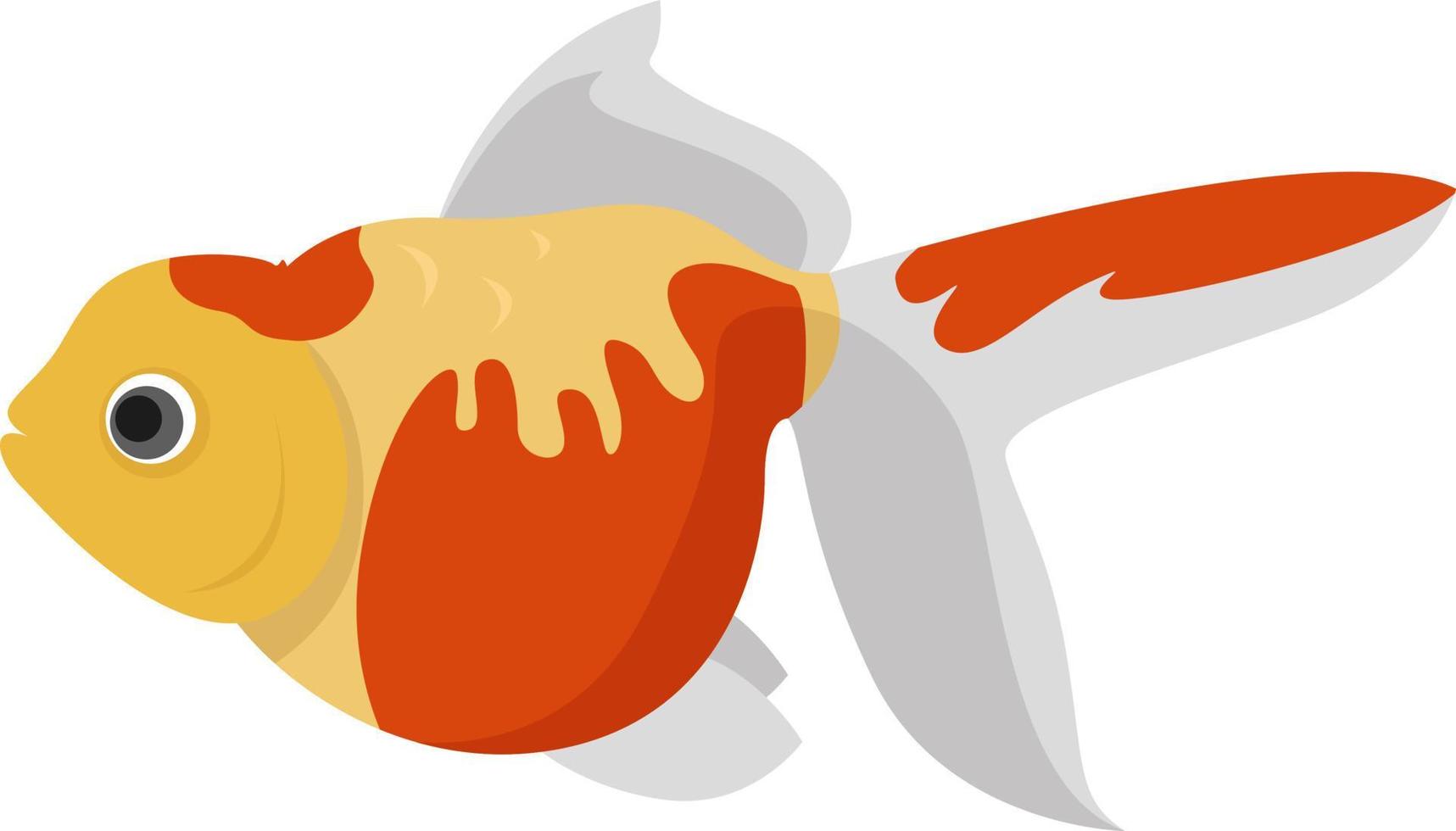 Pearlscale goldfish, illustration, vector on white background