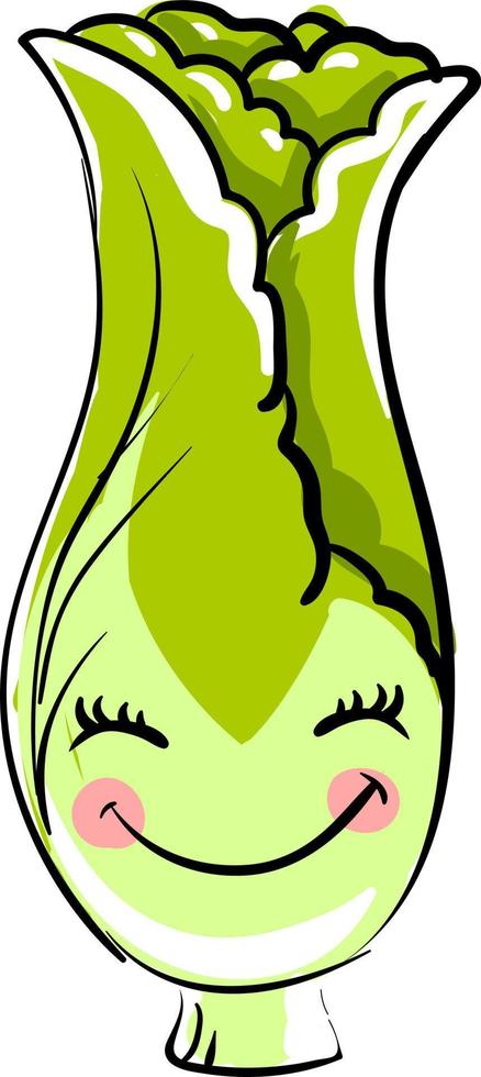 Cute letuce, illustration, vector on white background.