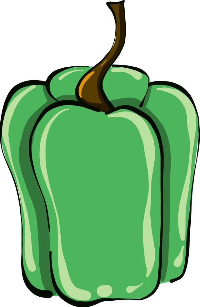 pimiento verde, ilustración, vector sobre fondo blanco