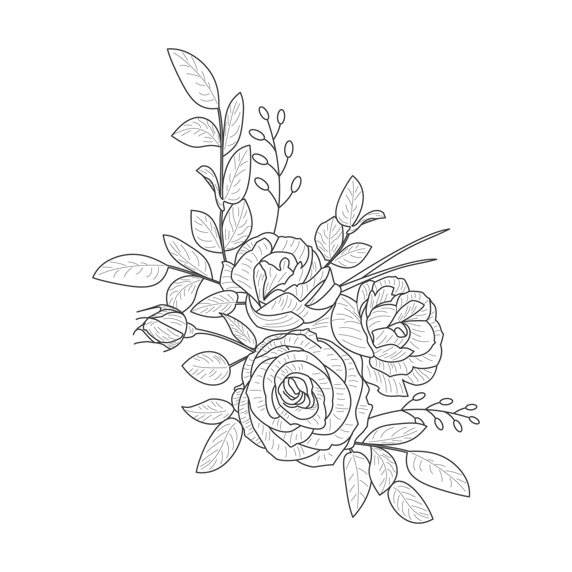 Beautiful hand drawn illustration of peony on a white background ...