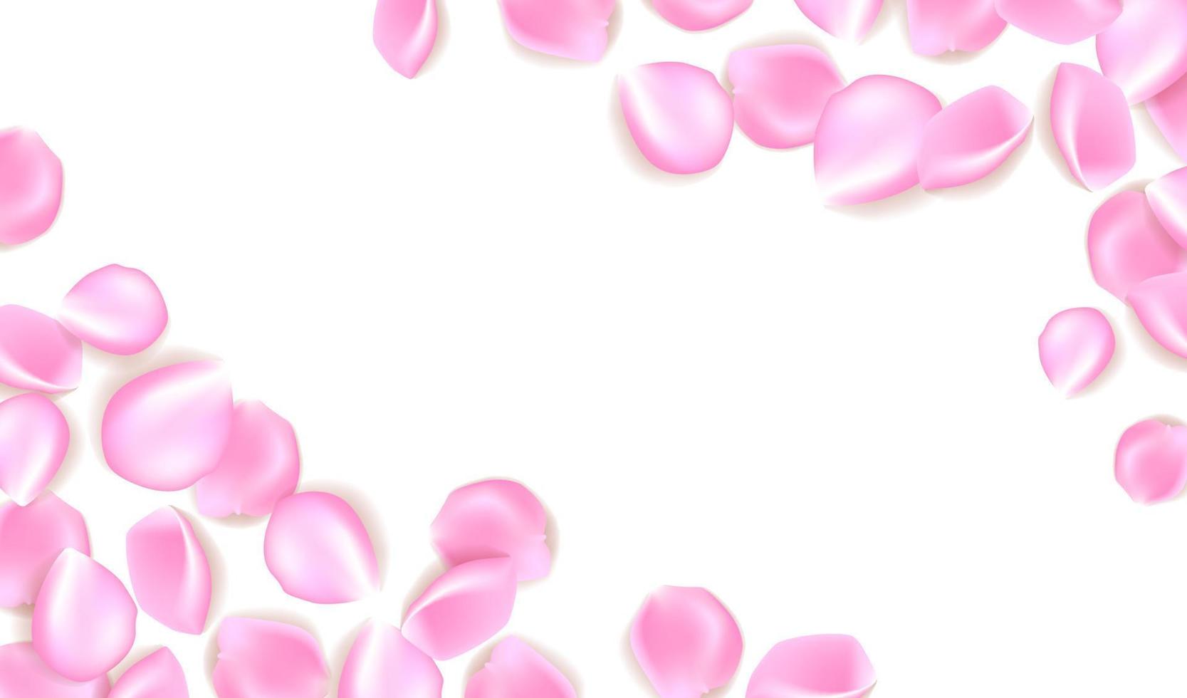 Pink rose petals isolated on white background with sample text vector illustration. Pink rose petals vector illustration.