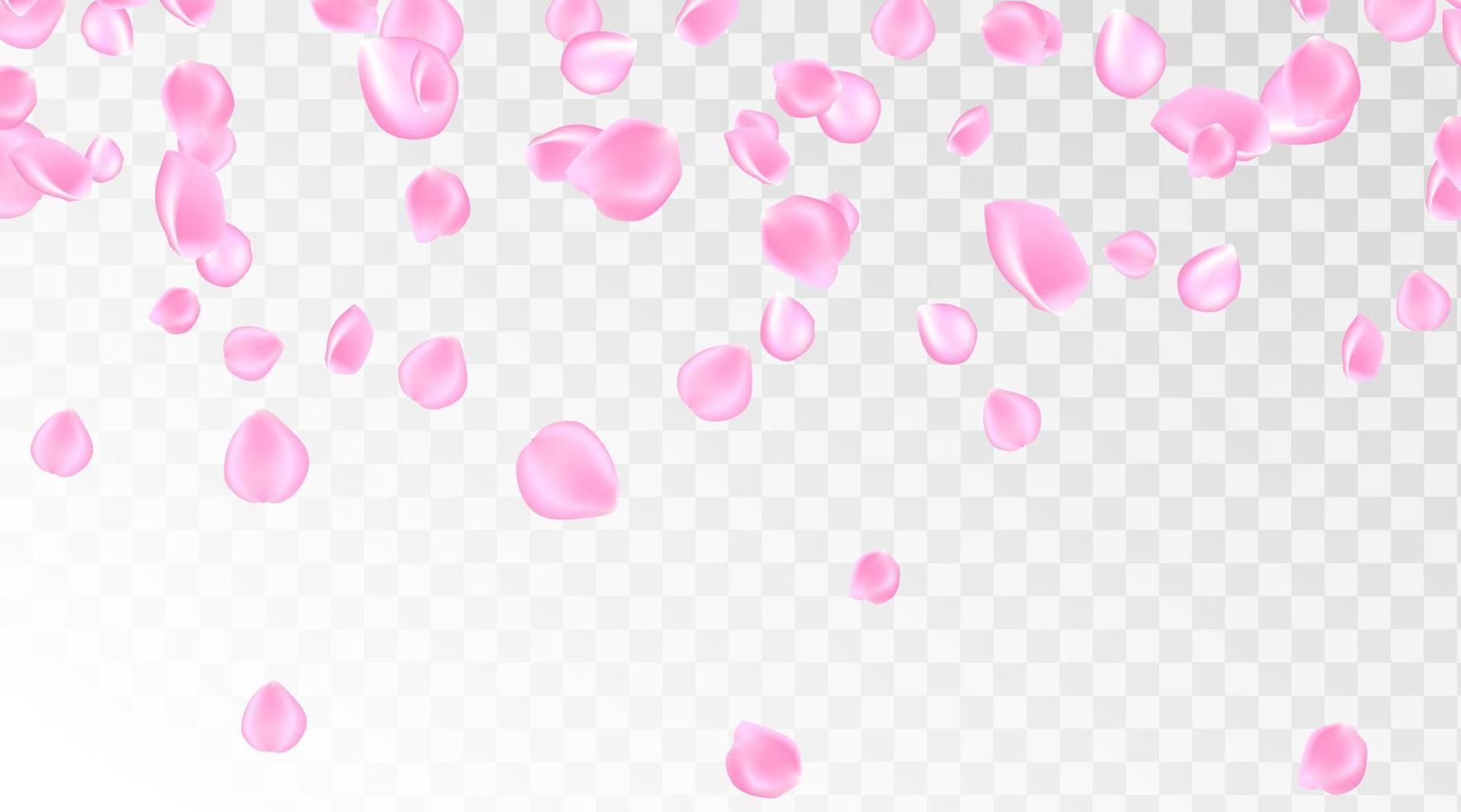 Pink rose petal falling background. Confetti with petals. Vector eps 10.