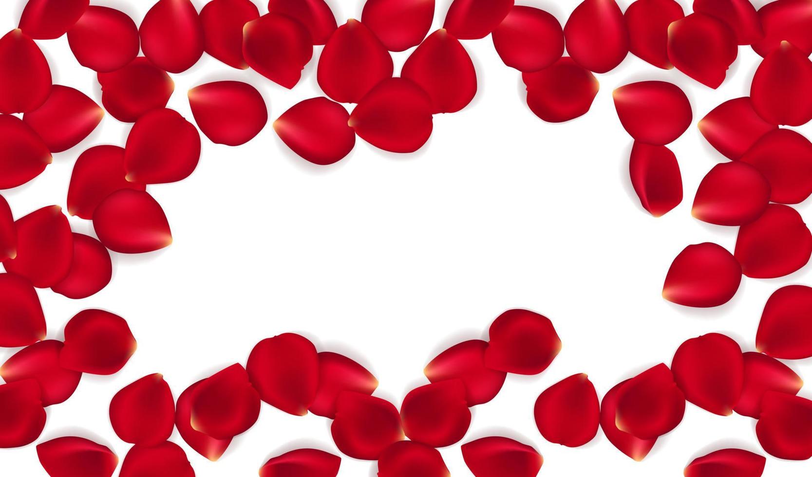 Red rose petals against white background. Eps 10 vector. Vector red rose petals background.
