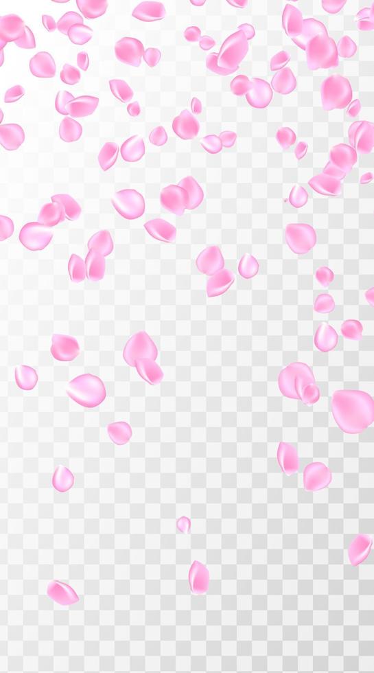 Pink rose petal falling background. Confetti with petals. Vector eps 10.