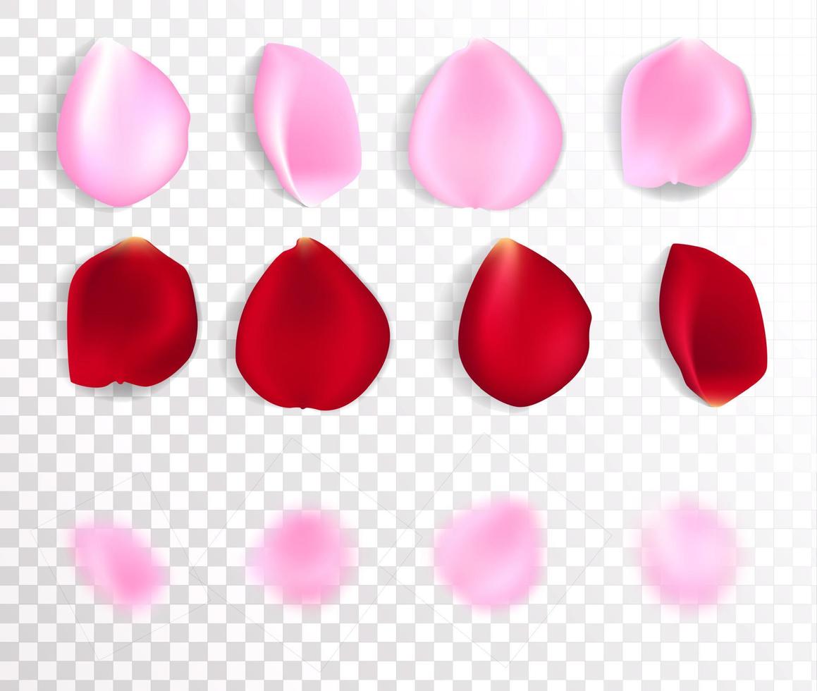 pétalos de rosa vectoriales realistas rojos y rosas aislados en blanco. vector conjunto de pétalos de rosa de color rojo y rosa.