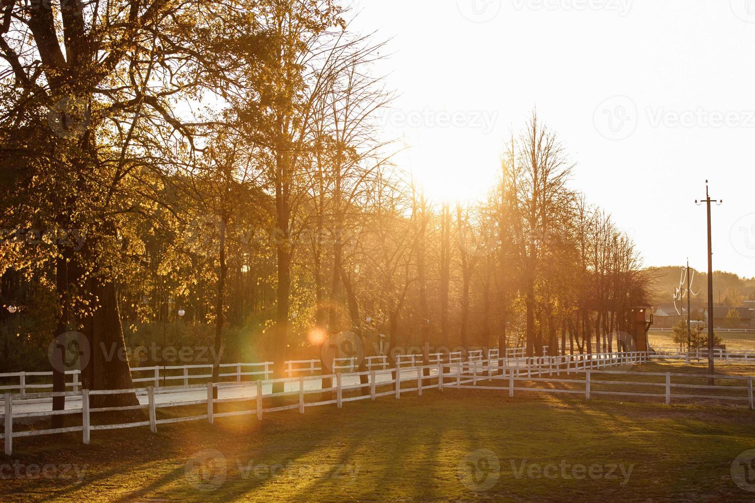 parque de otoño con valla de madera blanca con luz solar foto