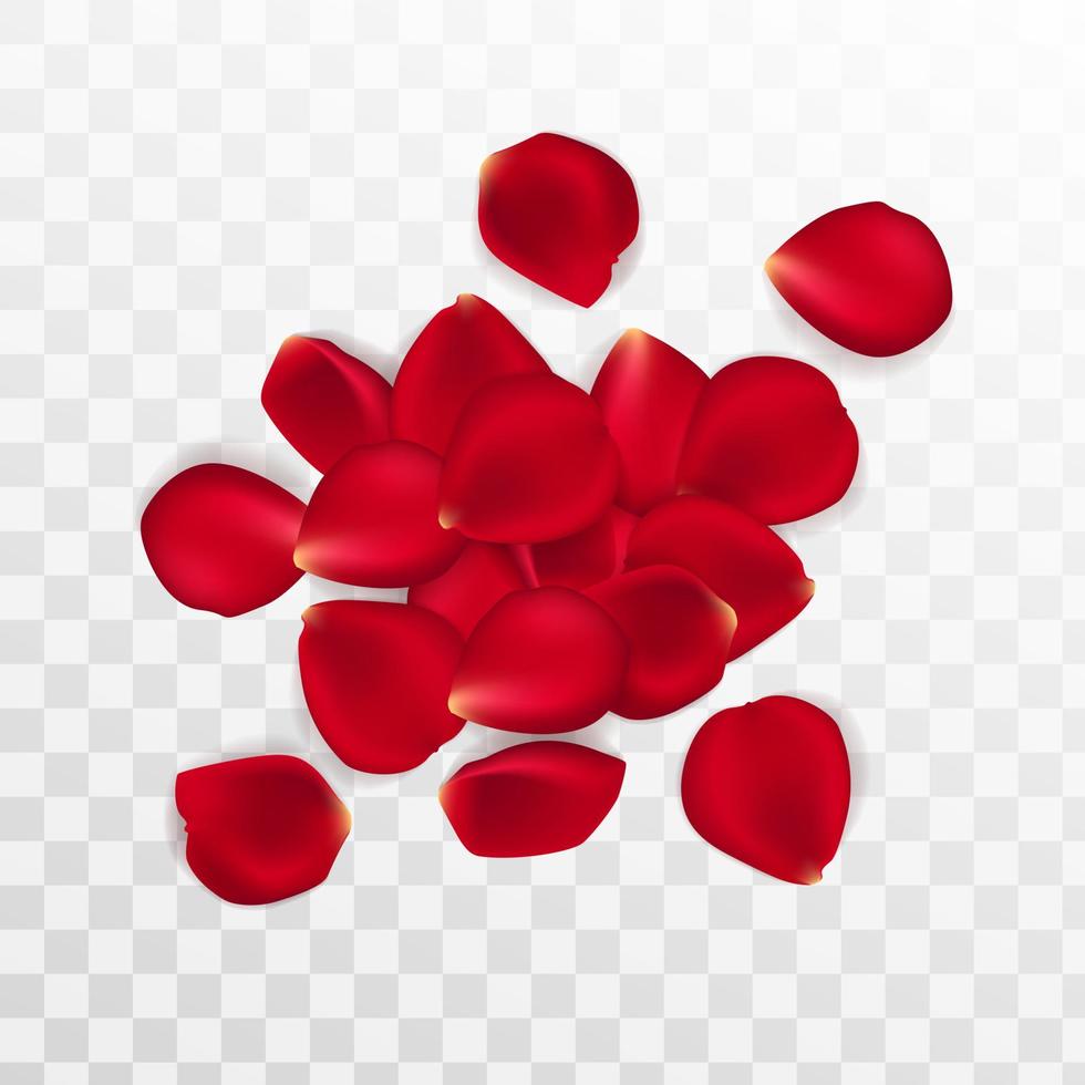 Background of red rose petals. Vector illustration red rose background.