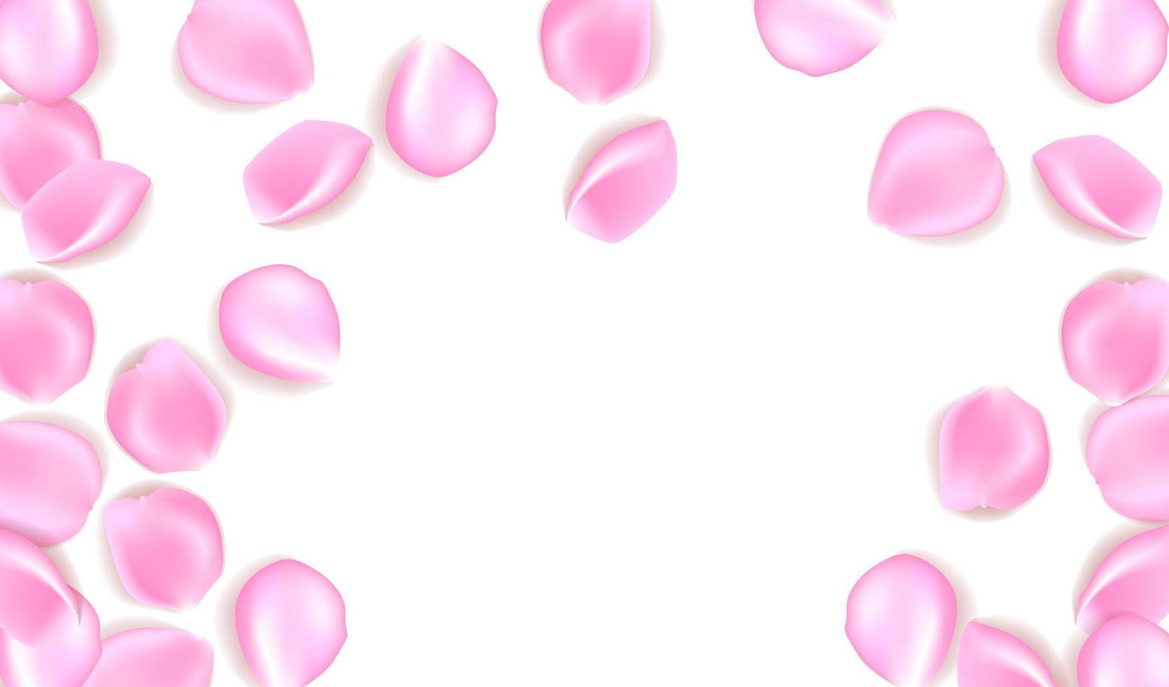 Background with rose petals. Eps 10 vector. Falling petals against white background. Flower petals. Sakura petals vector