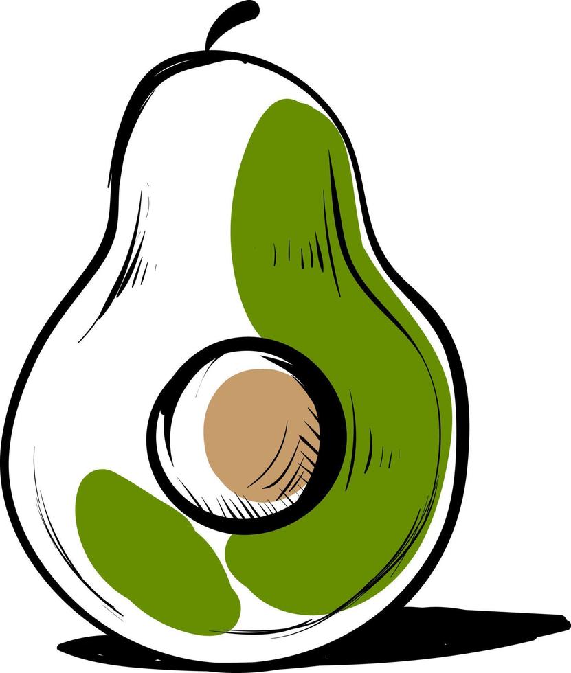 Dibujo de aguacate, ilustración, vector sobre fondo blanco.